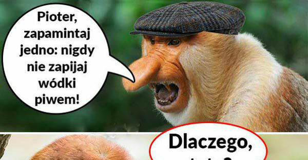 Dobra rada 