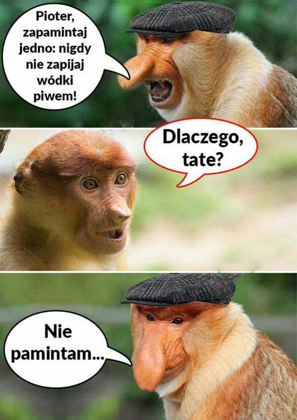 Dobra rada 