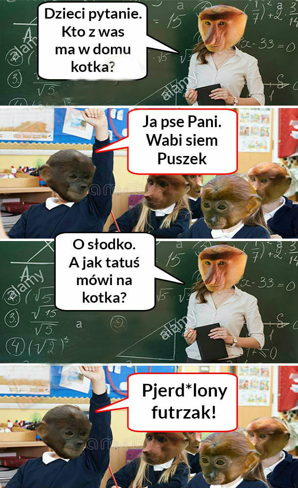 Kotek Pioterka 