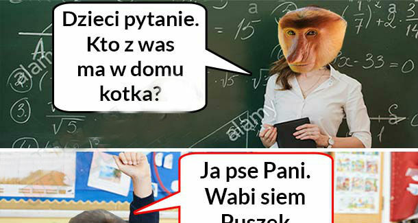 Kotek Pioterka 