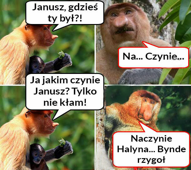 Janusz, gdzieś Ty był?! 