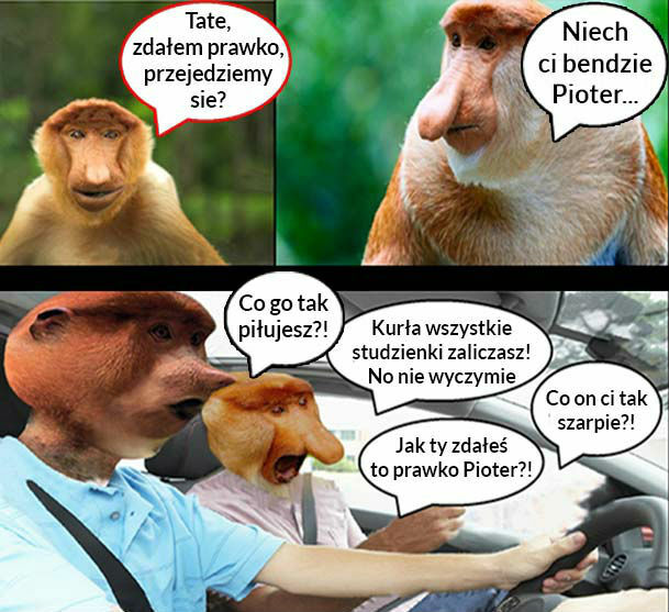 Kiedy Pioter zda prawko 