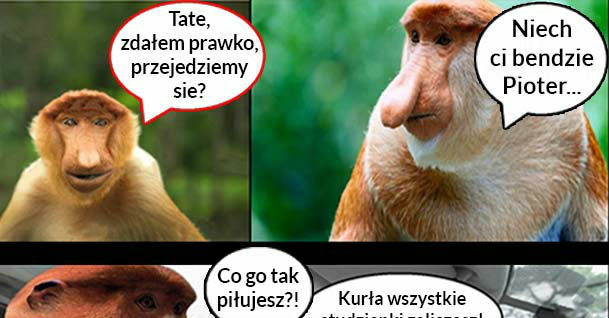 Kiedy Pioter zda prawko 