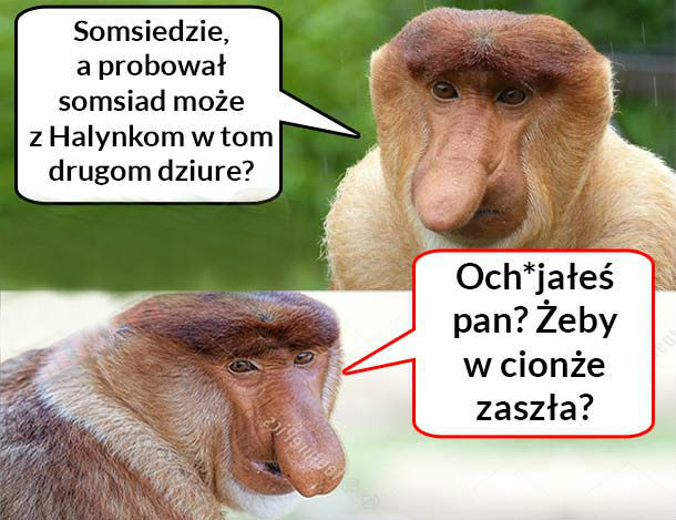 Eksperymenty Janusza 
