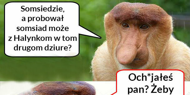 Eksperymenty Janusza 