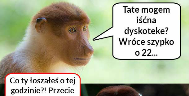 Pioterek i dyskoteka :D 