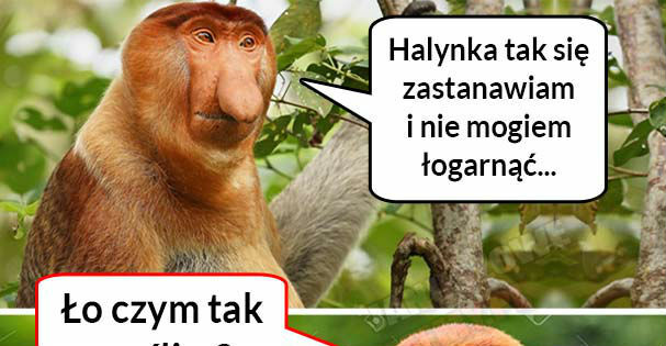 Janusz tego nie ogarnia :D 