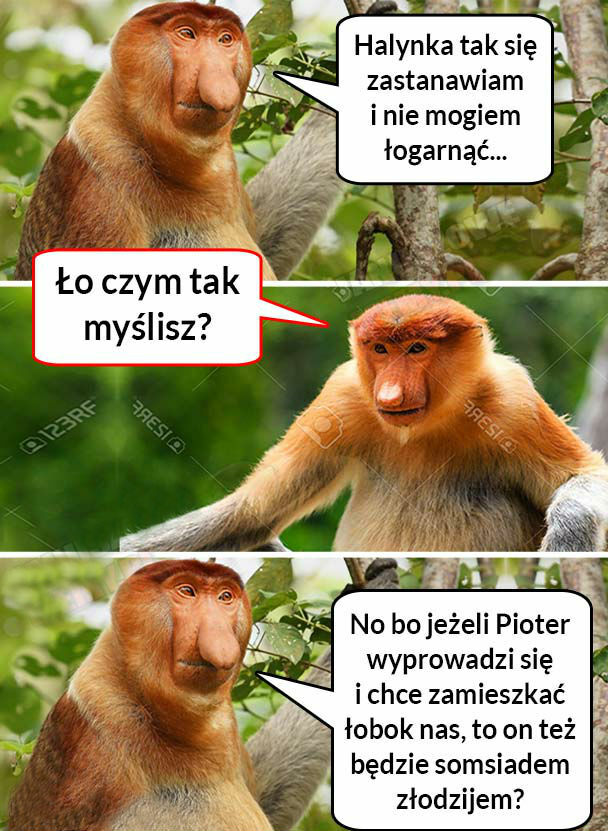 Janusz tego nie ogarnia :D 
