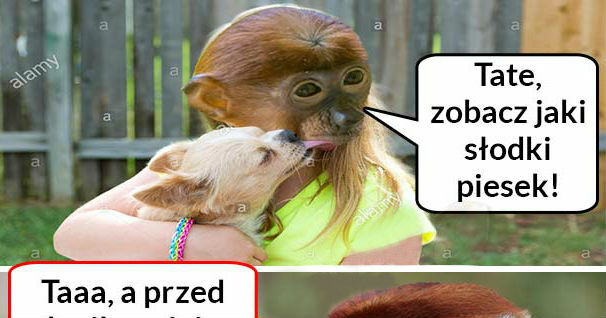 Już nie taki słodki 