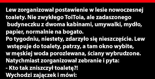 Awantura o kibel 