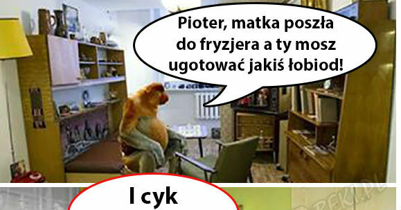 Kiedy Pioter ma zrobić obiad 