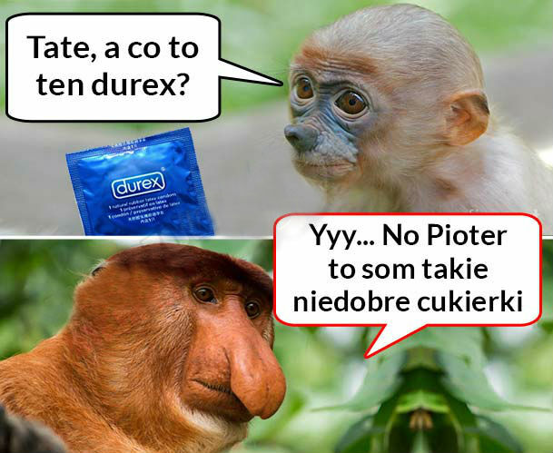 Co to jest?