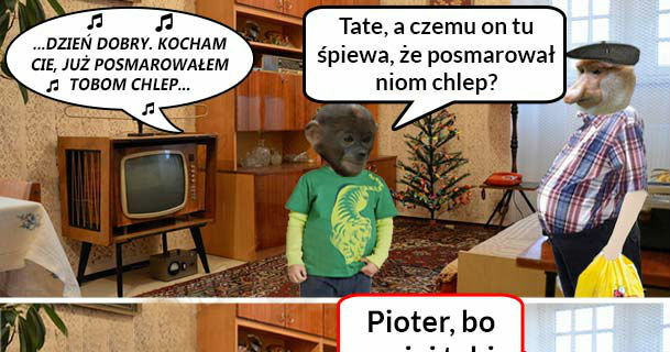 Janusz zawsze znajdzie odpowiedź 