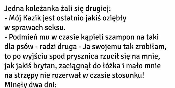 Beznadziejna rada