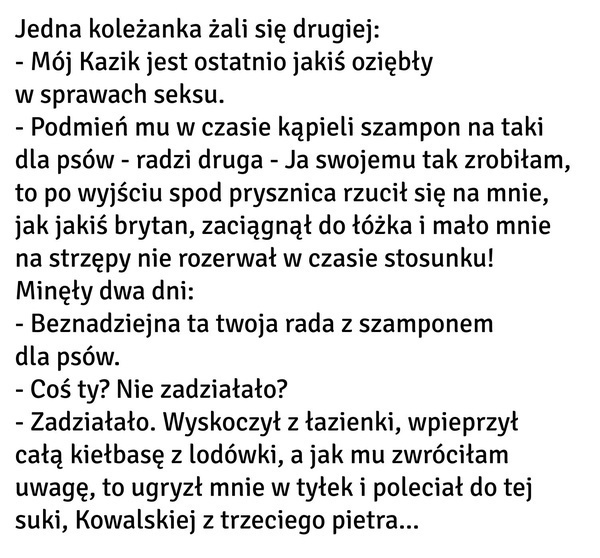 Beznadziejna rada