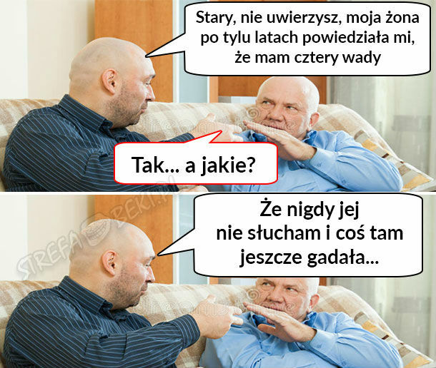 Cztery wady 