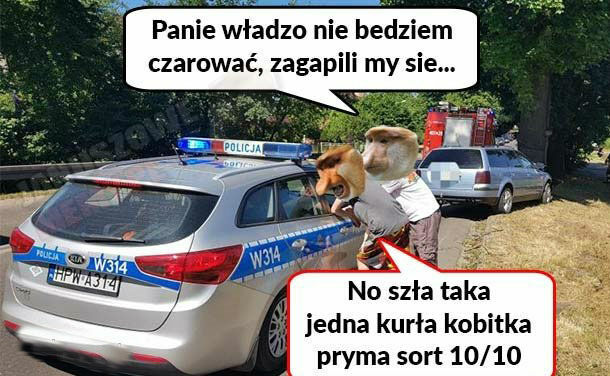 Nie bedziem czarować  