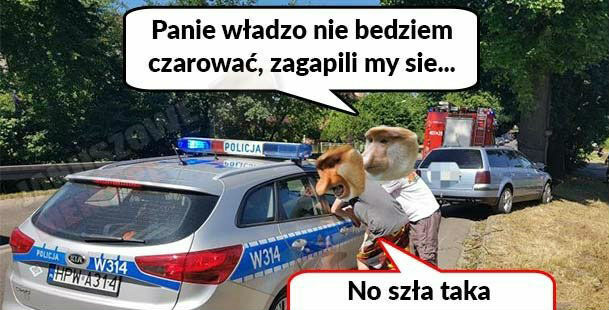 Nie bedziem czarować  