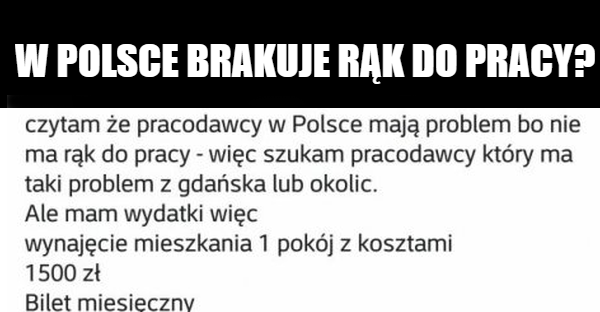 W Polsce brakuje rąk do pracy? 