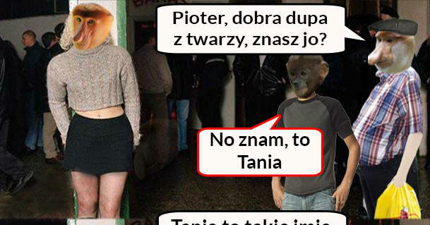 Fajna laska na imprezie 