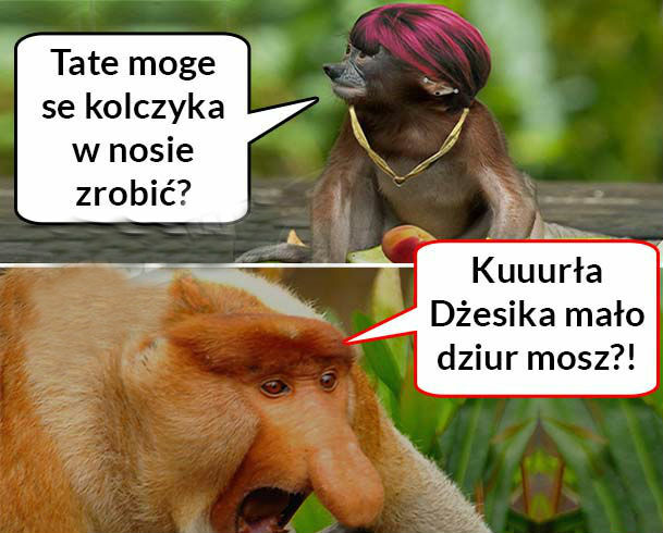 Kiedy Dżesika chce sobie zrobić kolczyk w nosie...