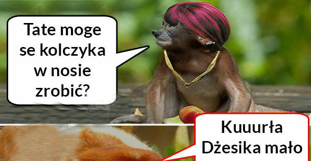 Kiedy Dżesika chce sobie zrobić kolczyk w nosie...
