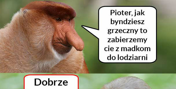 Pioterek w lodziarni 