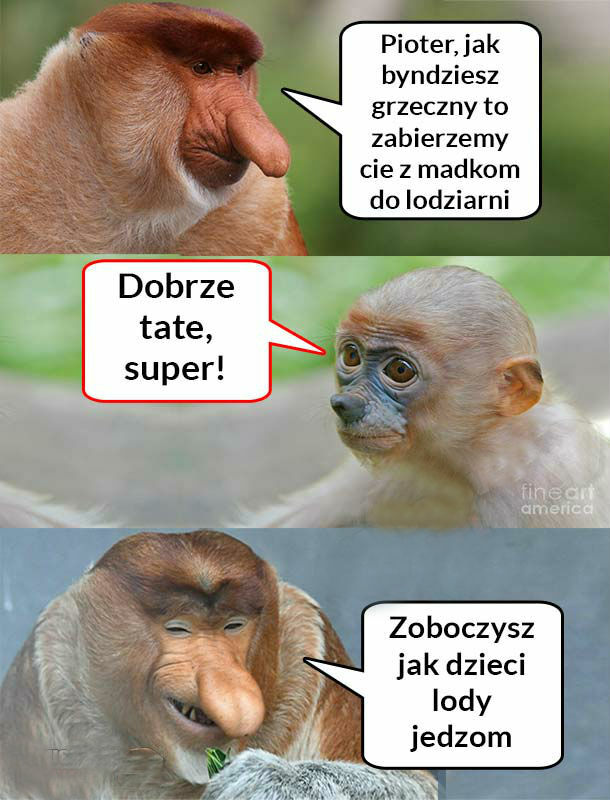 Pioterek w lodziarni 