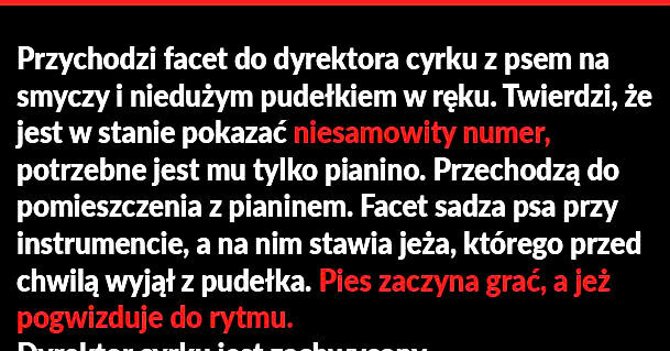 Sztuczka 