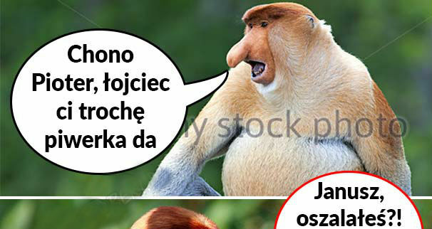 Kiedy Pioterek dorasta...