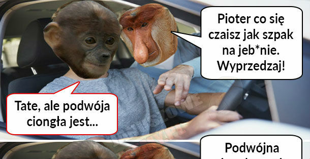 Pioter się czai 