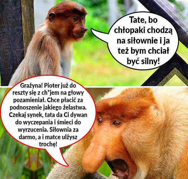 Ćwicz z Januszem 