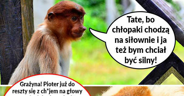 Ćwicz z Januszem 
