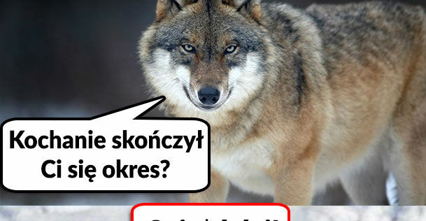 Te dni :D 
