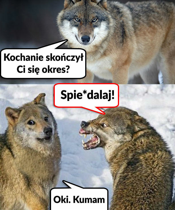Te dni :D 
