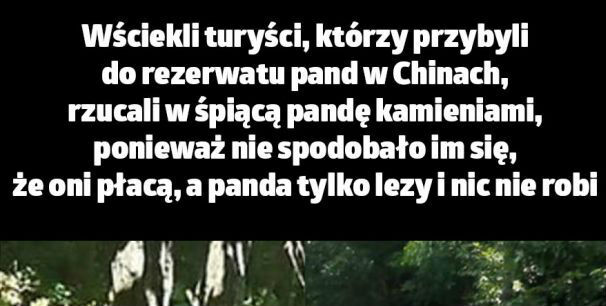 Jak tak można?!
