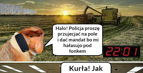 Zdziwiony? 