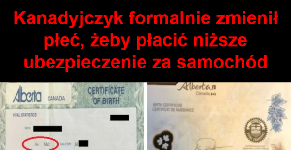 Takie mamy czasy
