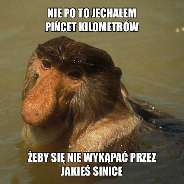 Udane wakacje 