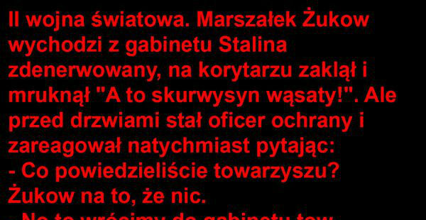 Wpadka 