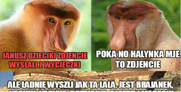 Zdjęcie z wycieczki