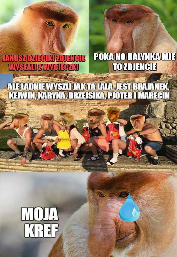 Zdjęcie z wycieczki