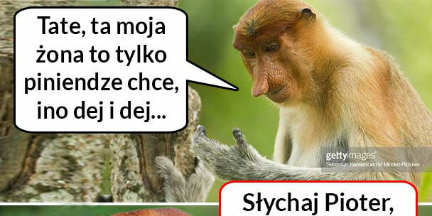 Kiedy Pioter narzeka na żonę 