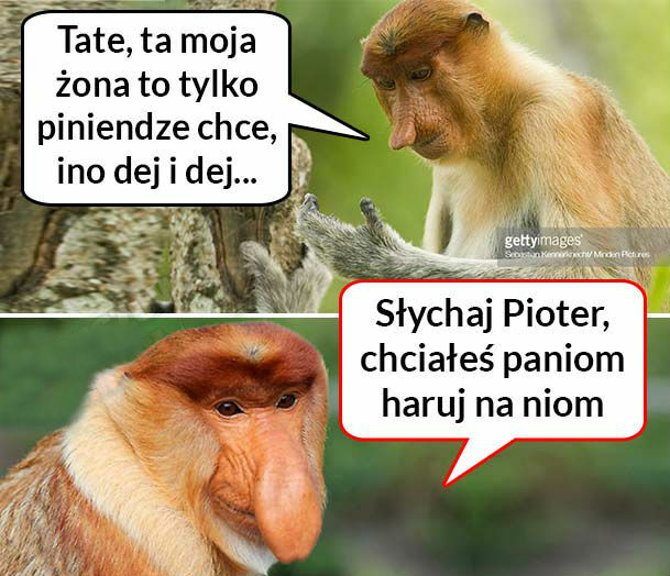 Kiedy Pioter narzeka na żonę 