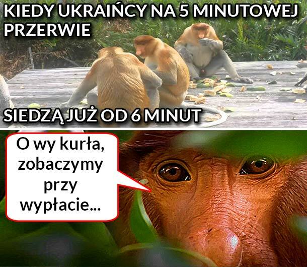 Janusz im nie przepuści :D 