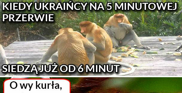 Janusz im nie przepuści :D 
