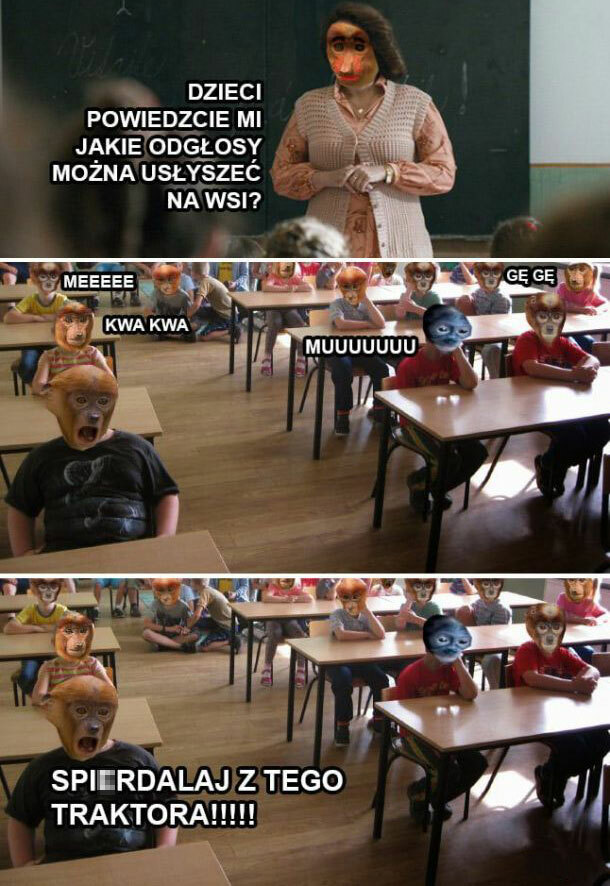 Odgłosy na wsi 
