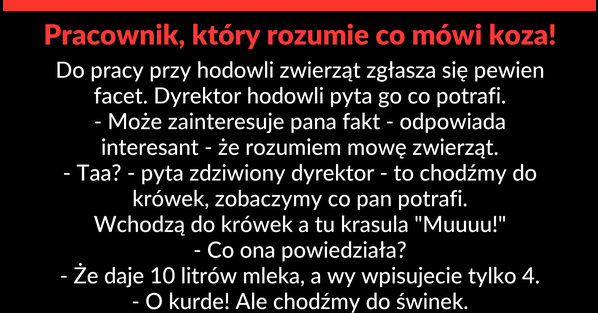 Pan jej nie słucha :D 