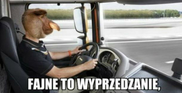 Tirowcy na autostradzie 