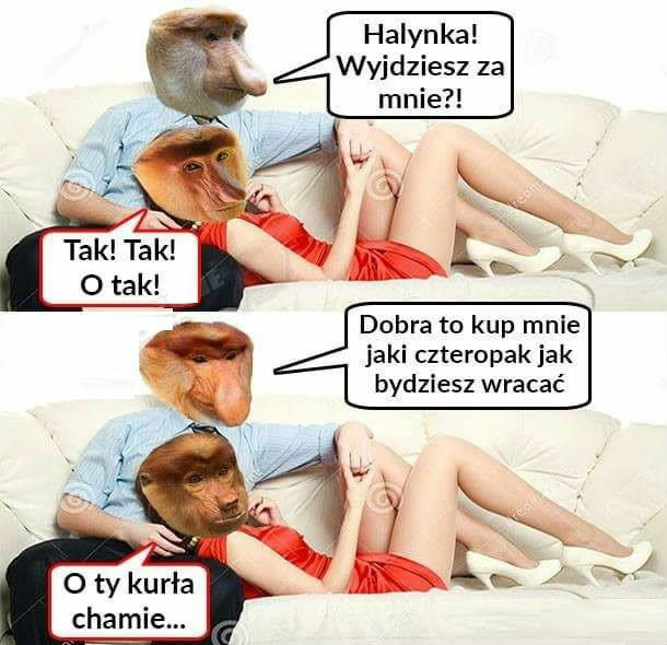 Janusz romantyk 